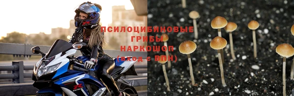 jwh Гусь-Хрустальный