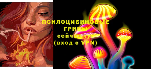 ALPHA-PVP Гусев