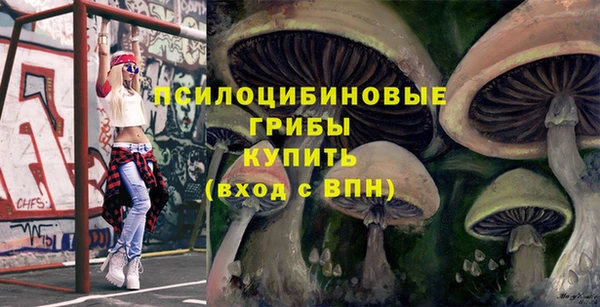 jwh Гусь-Хрустальный