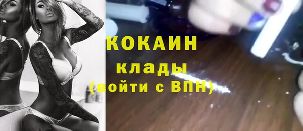 ALPHA-PVP Гусев