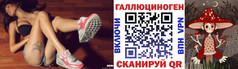 Галлюциногенные грибы Psilocybe  Купить закладки  Пудож 