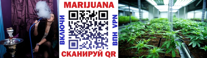 Конопля план  Купить закладки  Пудож 
